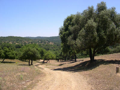 La Jarosa